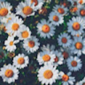 Meet your Posher, Khadeeja